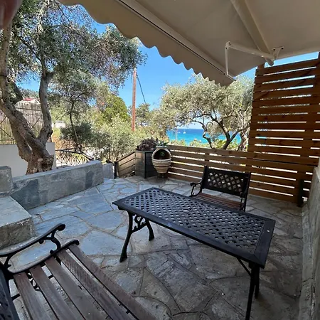 K. - Golden 크리시 아모우디아